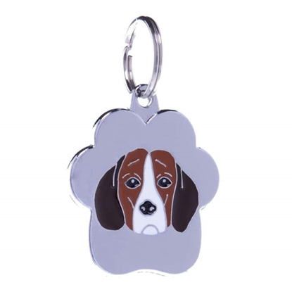 Picture of TAG RAINBOW BEAGLE